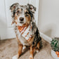 Wild Orange Aztec Print Bandana