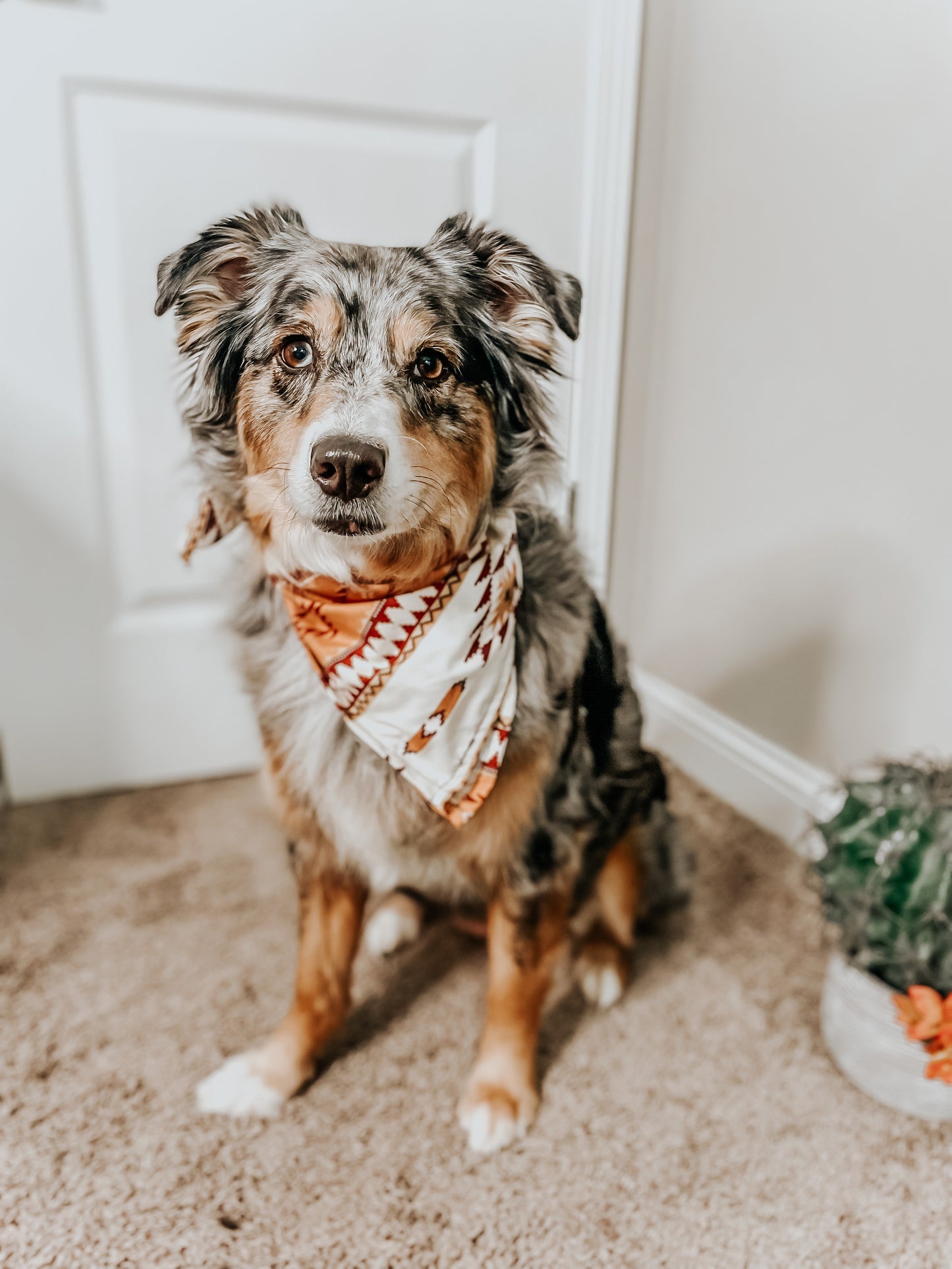 Wild Orange Aztec Print Bandana